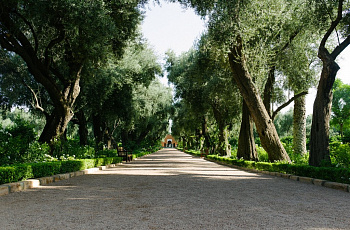 Сад отеля «La Mamounia»